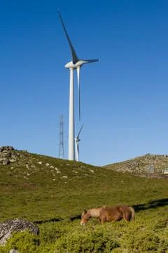 Modern windmill - Stock image Stock Photos