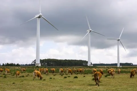 Modern windmill - Stock image Stock Photos