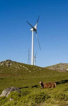 Modern windmill - Stock image Stock Photos