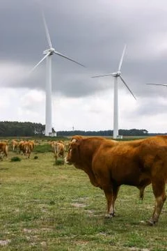 Modern windmill - Stock image Stock Photos