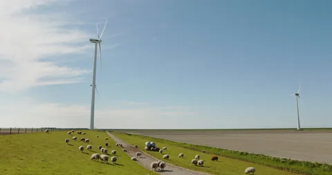 Modern windmills with sheeps grazing Stock Footage 189338810