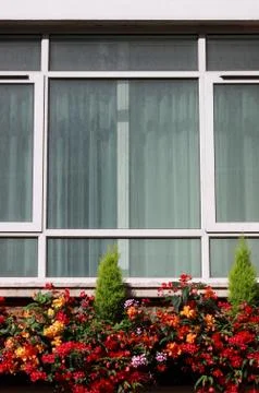 Modern window with flowers Stock Photos