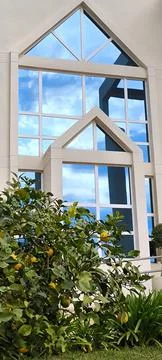 Modern window with reflection of sky and lemon tree growing nearby Stock Photos