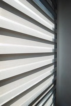 Modern window with zebra roller blinds and chain mechanism detail 스톡 사진