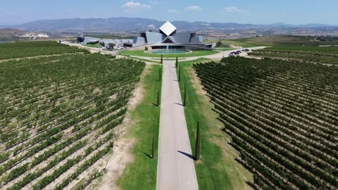 Modern wine cellar warehouse and vineyard aerial view Stock-Footage 252081233