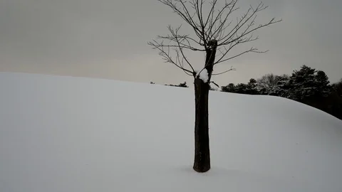 Modern of the winter: Vidéo 80149529