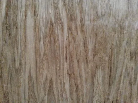 Modern wood texture background surface with natural pattern for design Photos