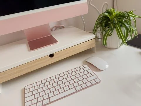 Modern workspace with computer and plant Stock Photos