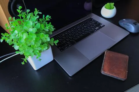Modern workspace setup with laptop, mouse, and green plant on a dark desk Stock Photos
