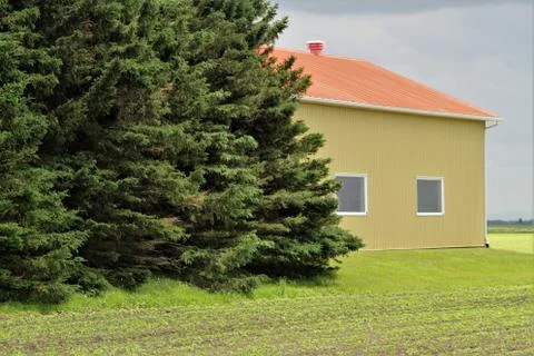 Modern yellow barn Stock Photos
