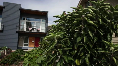 MODERN ZERO NET ENERGY HOME AND GARDEN IN PORTLAND, OREGON Stock Footage 52551597