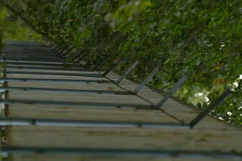 Modernist backdrop highlighting repetitive elements and subtle textures 写真素材