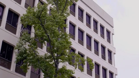 MODEST, CORNER OFFICE ESTABLISHING SHOT.  EXTERIOR 4K, 10 BIT LOCK-OFF. Stock-Footage 121279284