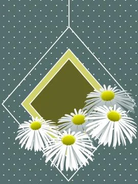 Modest greeting card template with chamomiles Stock Illustration