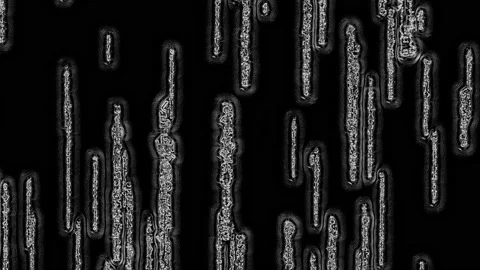 Modified, Black and White, Noisy Matrix effect with Warping and Noisy Aura 스톡 동영상 150123799