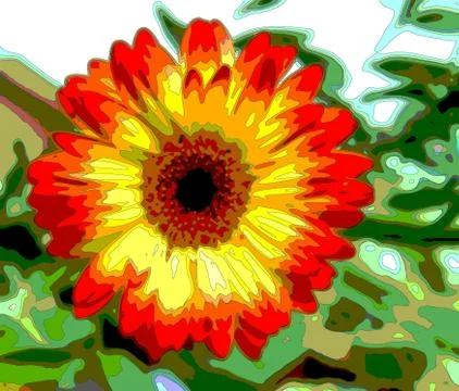 Modified photo of gerbera - pc graphics Stock Photos