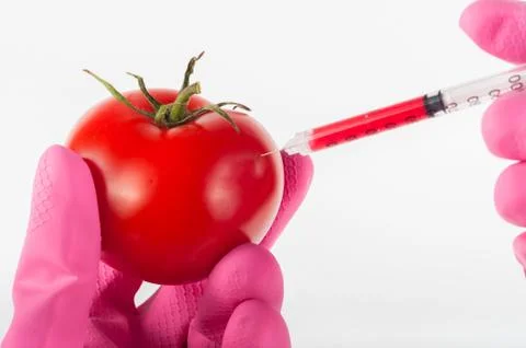 Modified tomato Stock Photos