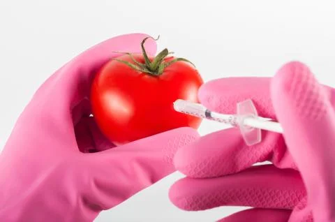 Modified tomato Stock Photos