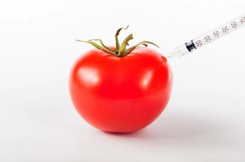 Modified tomato Stock Photos