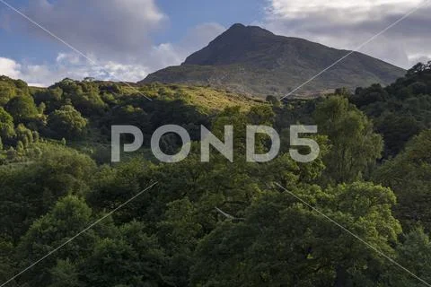 Moel Siabod and trees, Snowdonia National Park, North Wales Stock Photos
