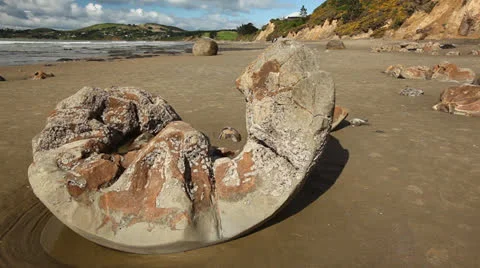 Moeraki Boulders Stock Footage 25900206