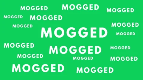 Mogged Internet Slang Animated Text Background for Social Media Meme and Online Stock Footage 345089356