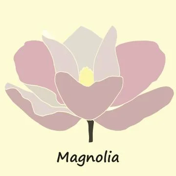 Mognolia flower colored Stock Illustration