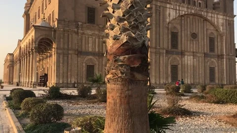 Mohamed ali Video stock 157822645