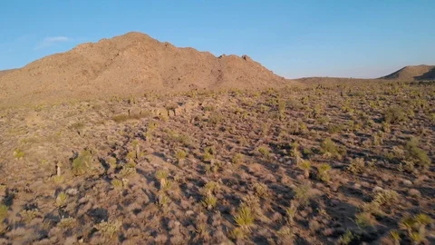 Mohave Arizona Desert Landscape Stock Footage