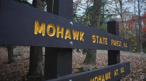Mohawk Mountain Forest (6 of 9) Stock Footage 33907824