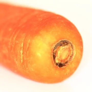 Mohrrübe - Bio Stock Photos