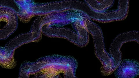Moire distorted lines with vibrant colors flow and noise animation, 4k Stock Footage 297406173
