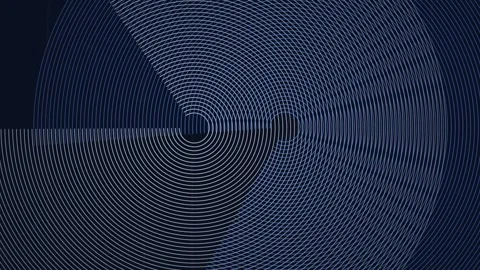 Moiré Interference Arcs Digital Motion Graphic Animation Video stock 342387873