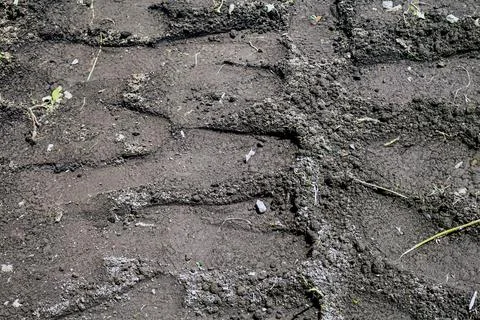 Moist compacted soil surface with deep machinery tire track impressions Stock Photos