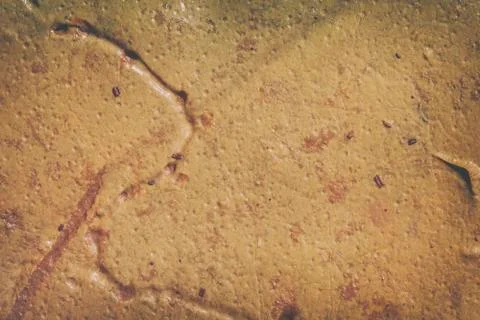 Moist ground - texture Фото