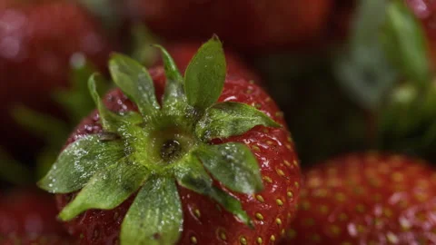 Moist top of fresh strawberry - extra closeup shot Vídeo Stock 341235119