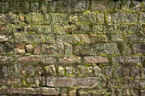 Moisture aged cement brick wall background Stock Photos