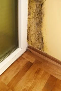 Moisture and mold -Problems in a house Stock Photos