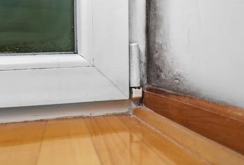 Moisture and mold -Problems in a house Stock Photos