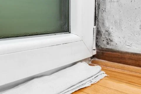 Moisture and mold -Problems in a house Stock Photos