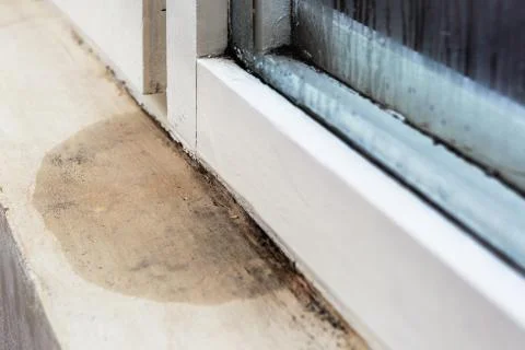 Moisture and mold -Problems in a house Stock Photos