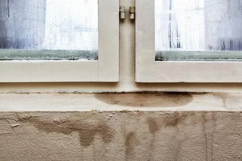 Moisture and mold -Problems in a house Stock Photos