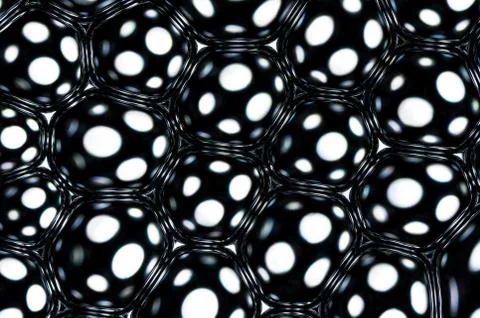 Moisture Stock Photos