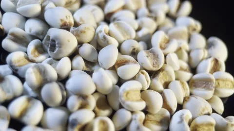Moisture removing coix seed (2) Stock Footage 202161510