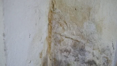 Moisture on the wall Stock Footage 88784378