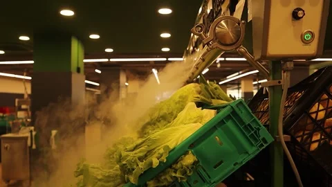 Moisturizing vegetables to keep them fresh at the supermarket. Modern shopping Stock Footage 284248823