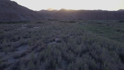 Mojave Desert Stock Footage 217816045