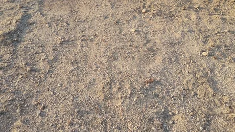 Mojave Desert ground soil Stock Footage 314468033
