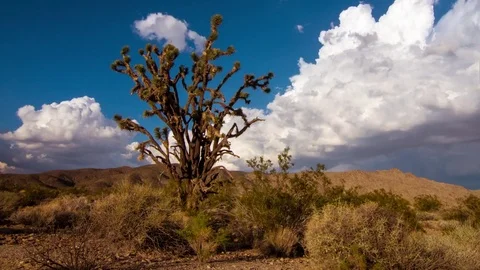 Mojave Desert HD time lapse stock footage. Stock Footage 70998017