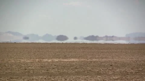 Mojave Desert mirage Stock Footage 11287541